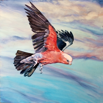 Susan Skuse | The Art of Riding on the Wind - Galah | Oil and Acrylic on composite aluminium panel | 300 x 300mm image size | $400